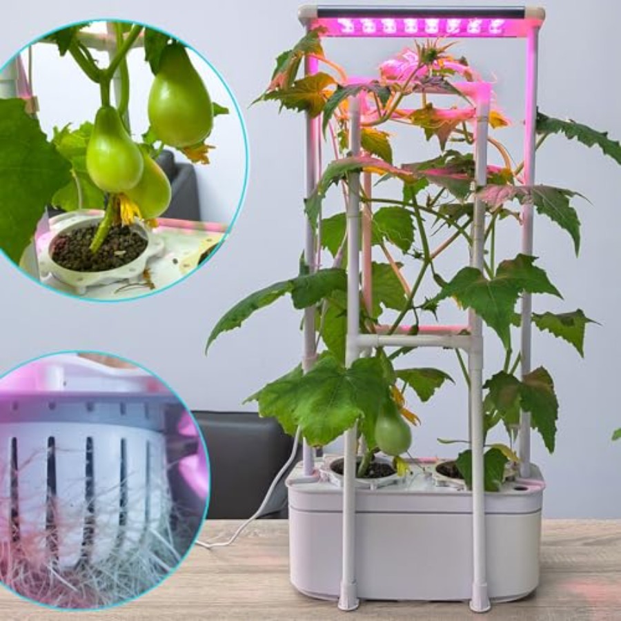 Hydroponics Growing System kit – Smart Garden Is recenzja i cena