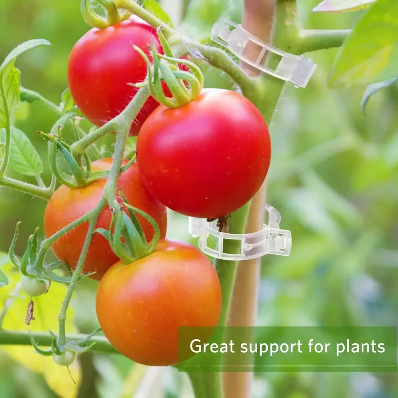 50-300PCS Plant Support Clips  – Smart Garden Hub recenzja i cena