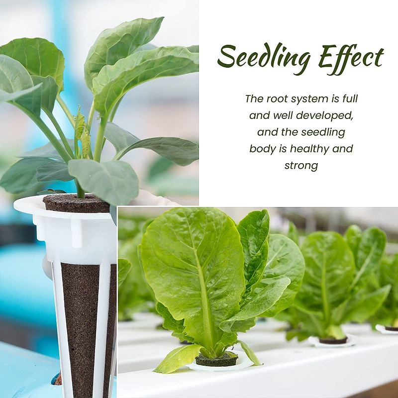 15/30Pcs Hydroponic Colonizati – Aerogarden Seed Pod recenzja i cena
