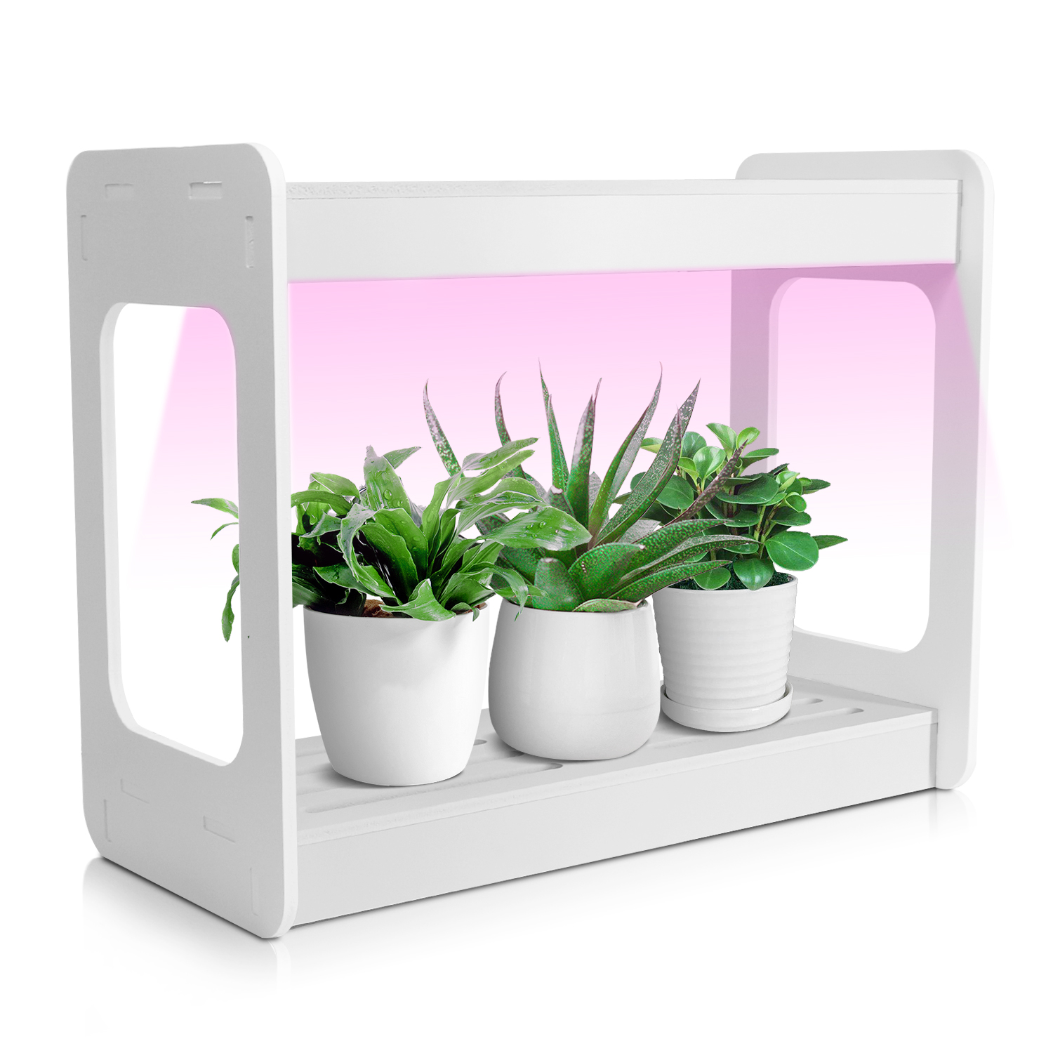 Smart Mini LED Grow Light Syst – Smart Garden Is recenzja i cena