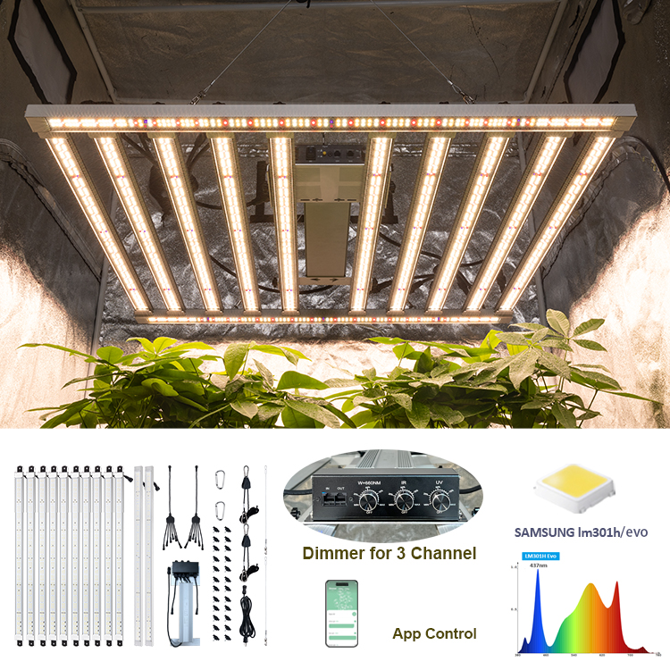 Indoor Grow Kits Complete 1000 – Grow Tent Complete Kit recenzja i cena