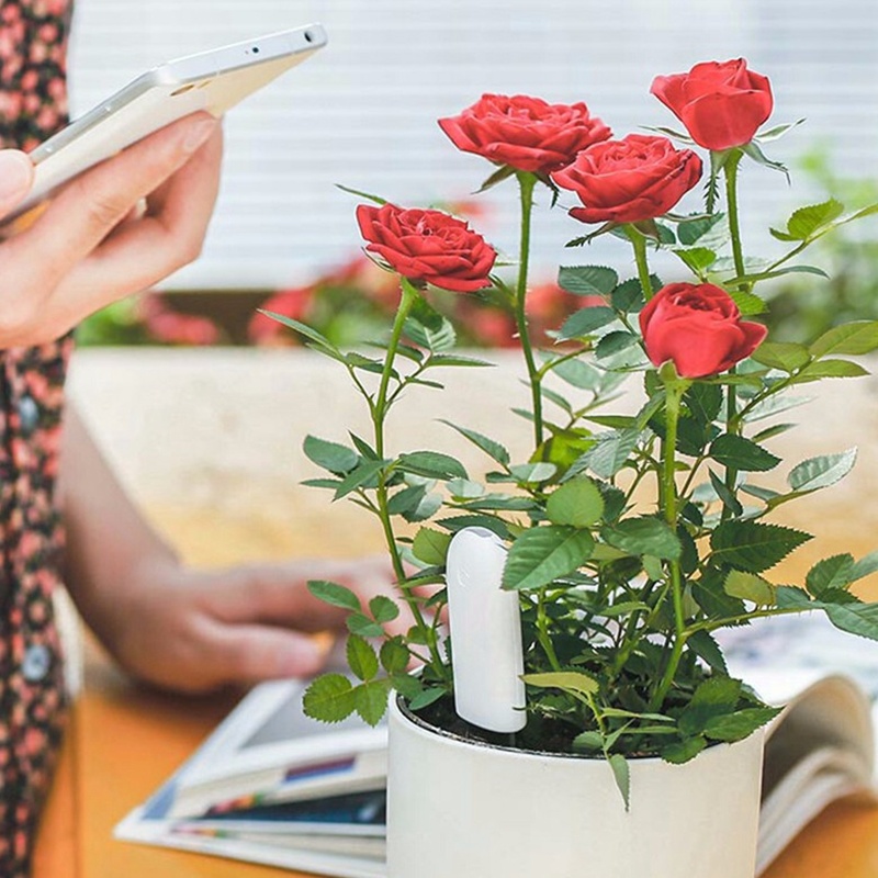 HHCC Flower Monitor Flora Gard – Smart Garden Hub recenzja i cena