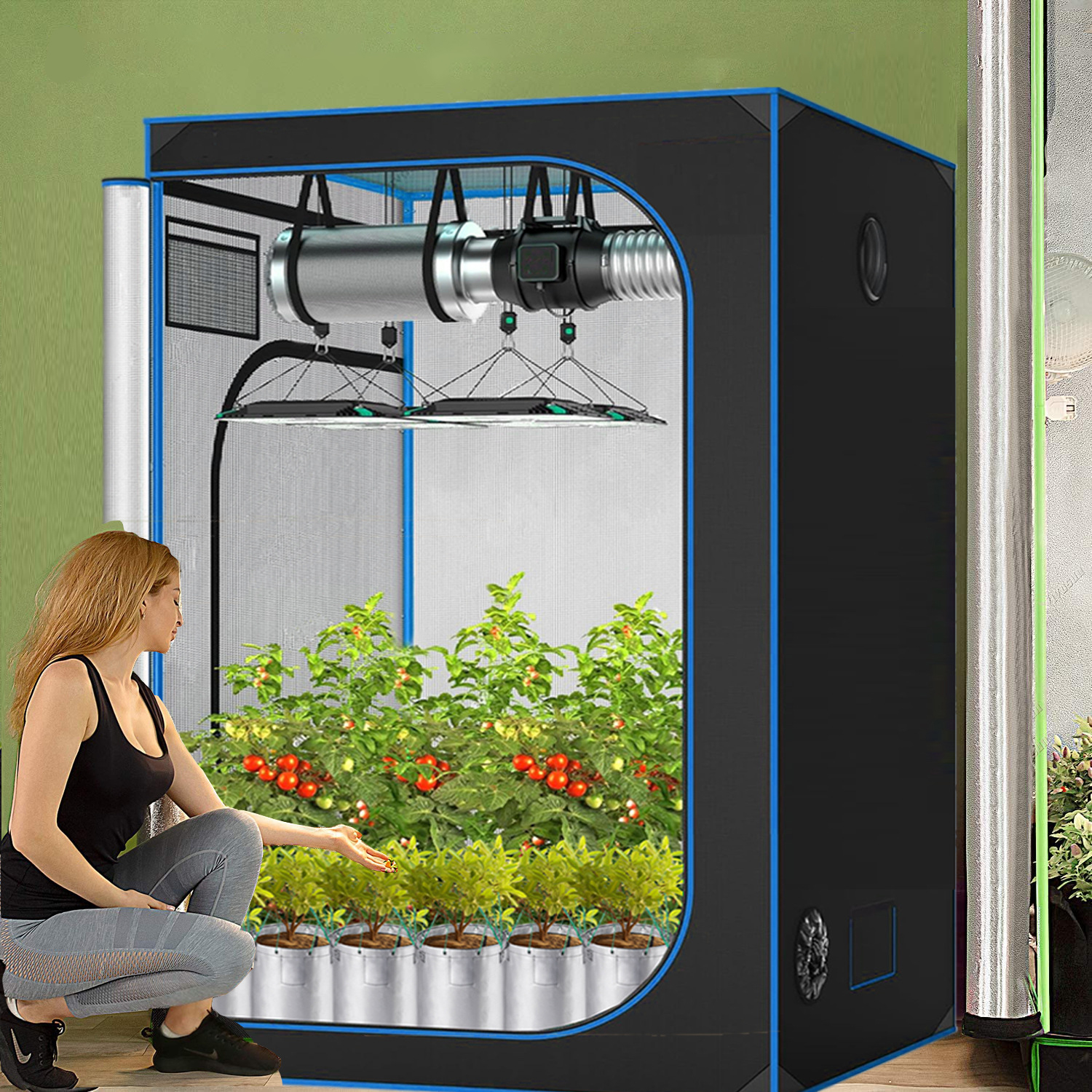 C3 Greenhouse Indoor Grow Tent – Grow Tent Complete Kit recenzja i cena