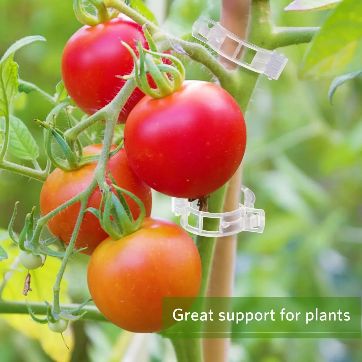 500/50PCS Plant Support Clips  – Smart Garden Hub recenzja i cena
