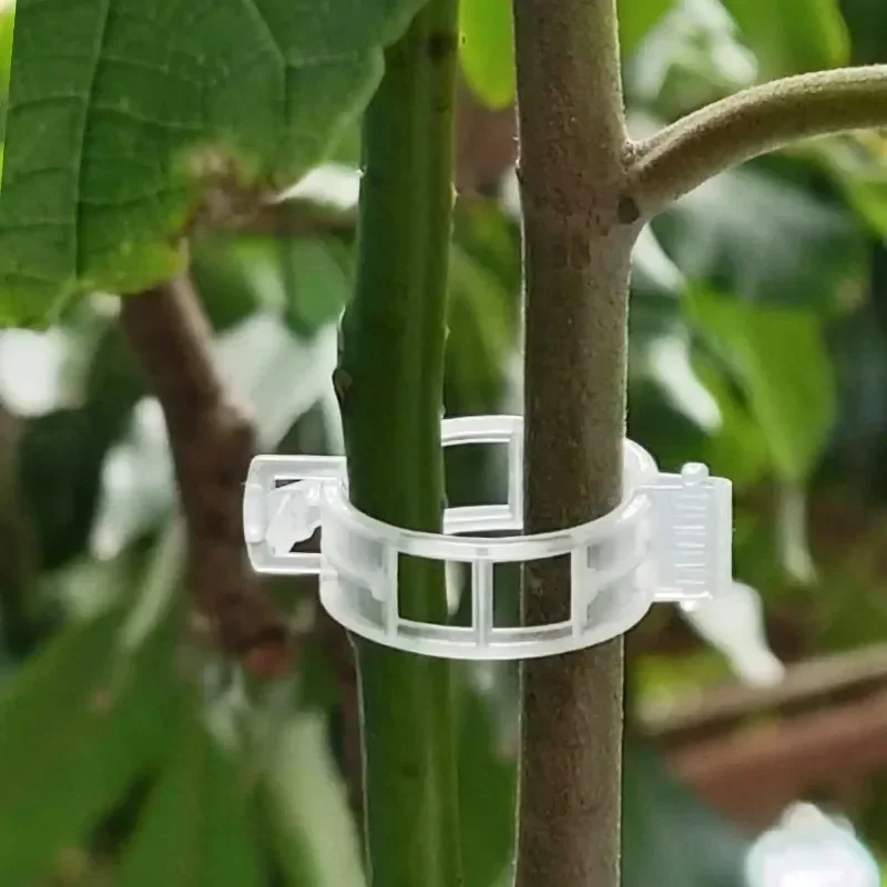 500/50PCS Plant Support Clips  – Smart Garden Hub recenzja i cena
