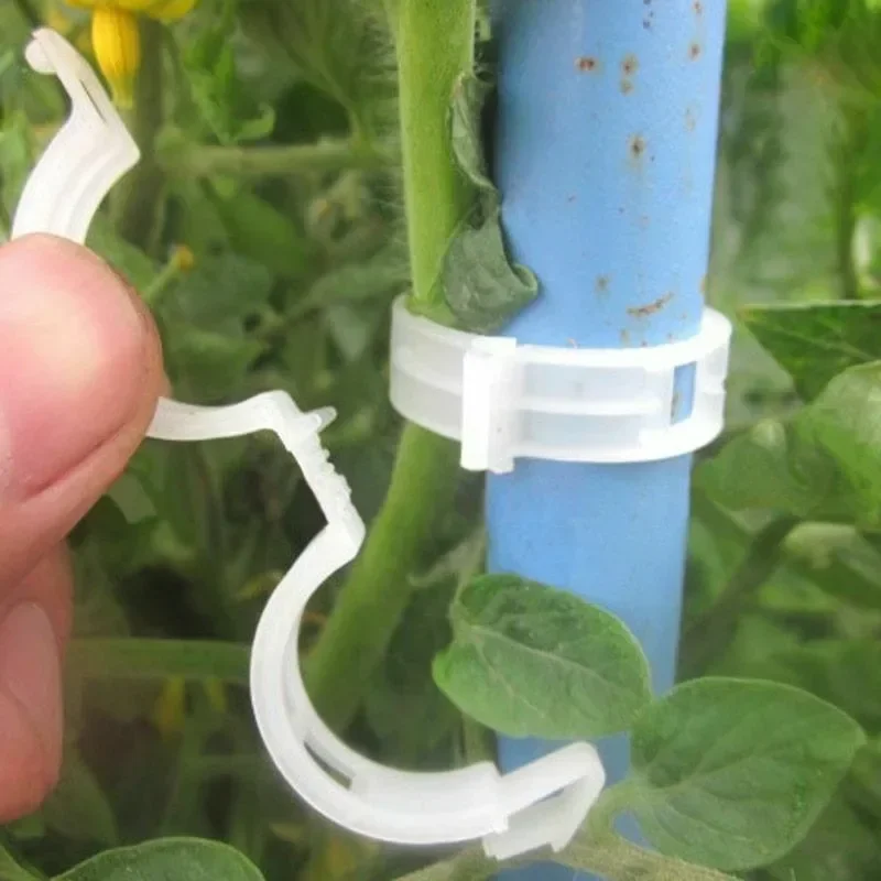 500/50PCS Plant Support Clips  – Smart Garden Hub recenzja i cena