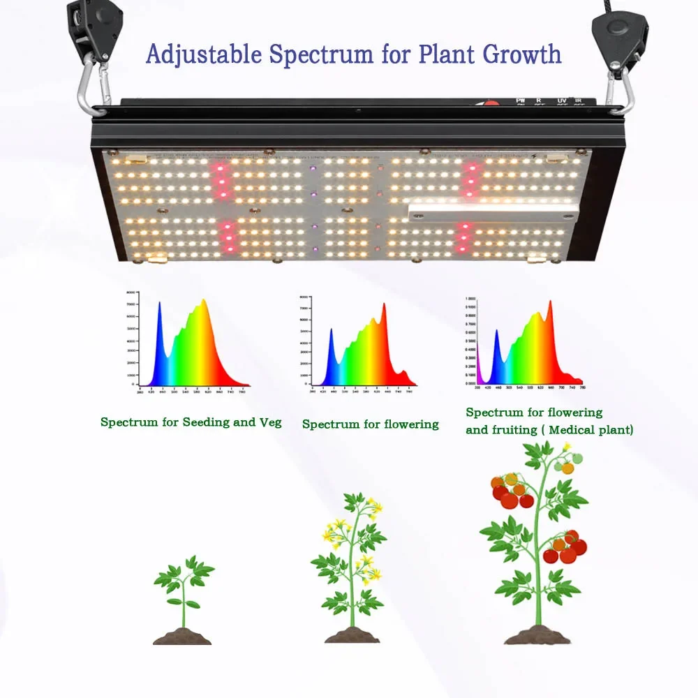 BAVAGREEN Hydroponic System Sm – Grow Tent Complete Kit recenzja i cena