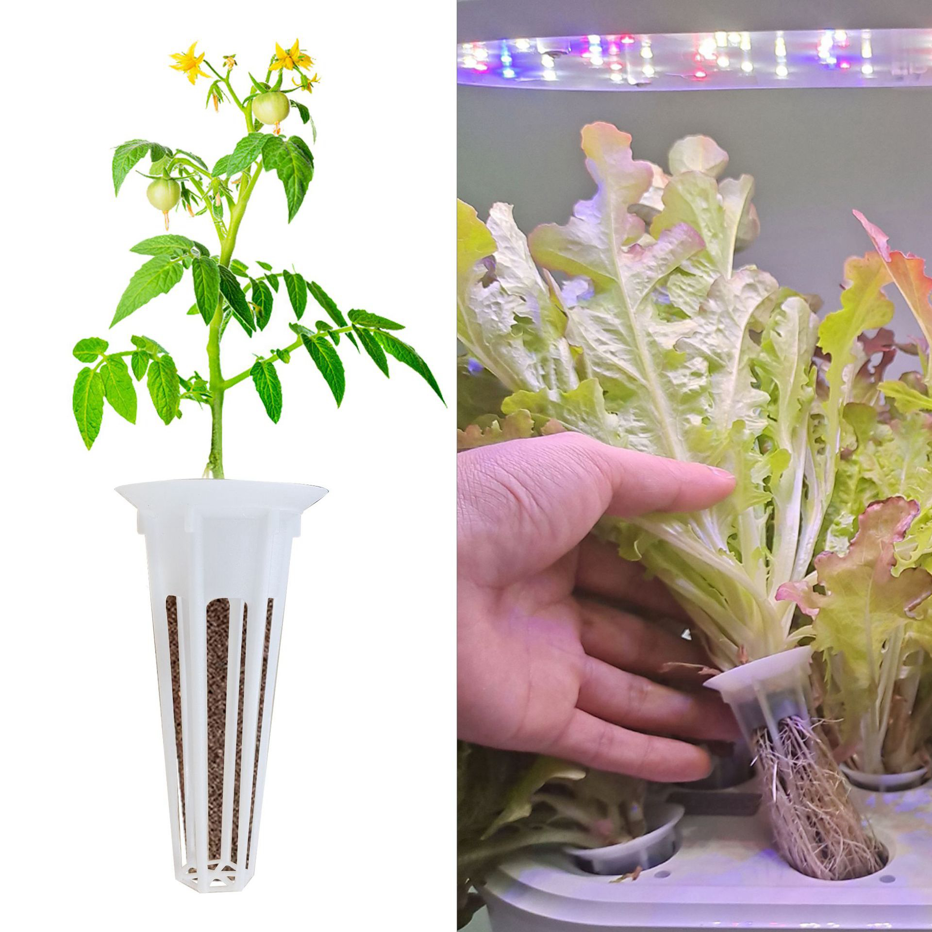 12-100Pcs Veg Hydroponic Plant – Aerogarden Seed Pod recenzja i cena