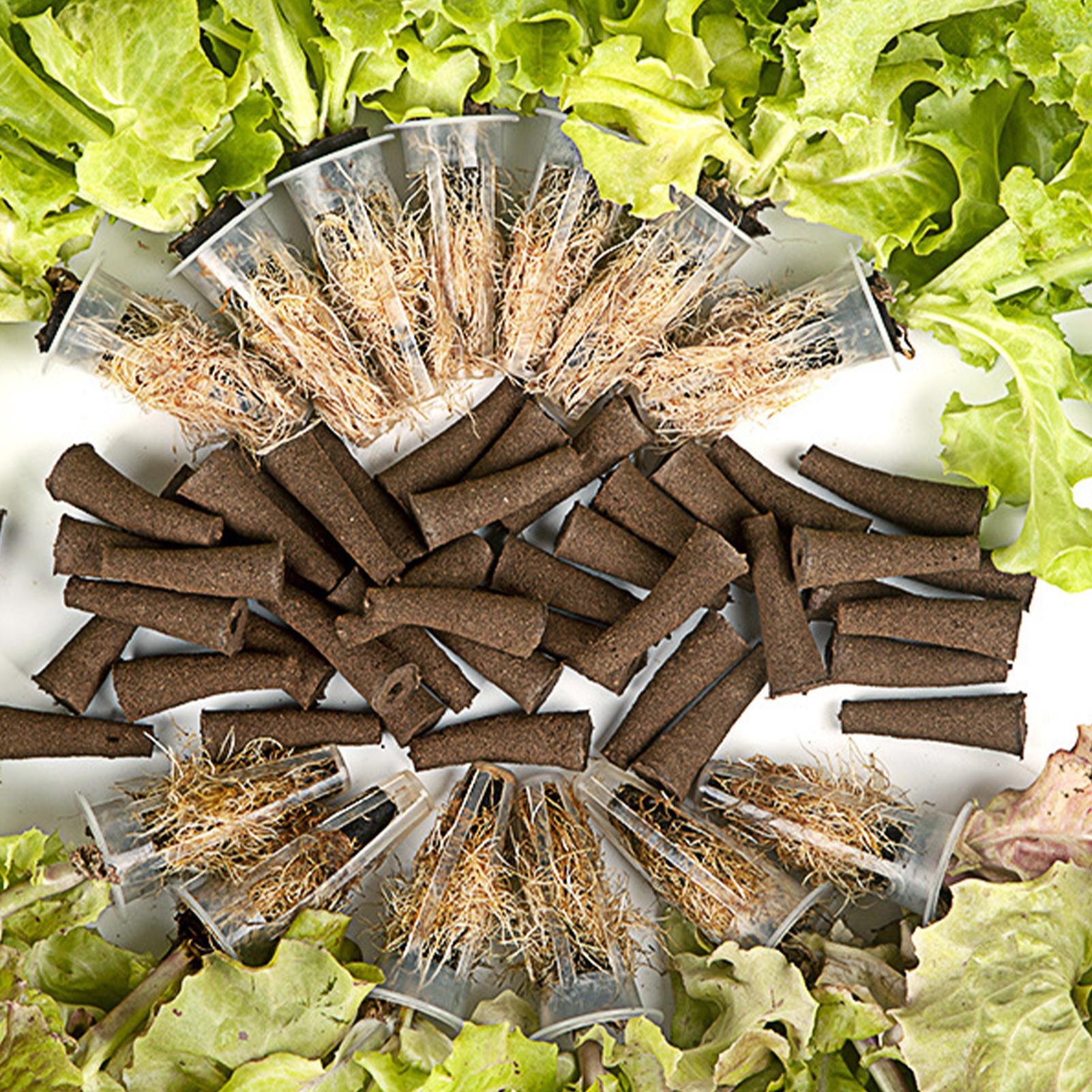 Hydroponic Sponges 50pcs Cone  – Aerogarden Seed Pod recenzja i cena