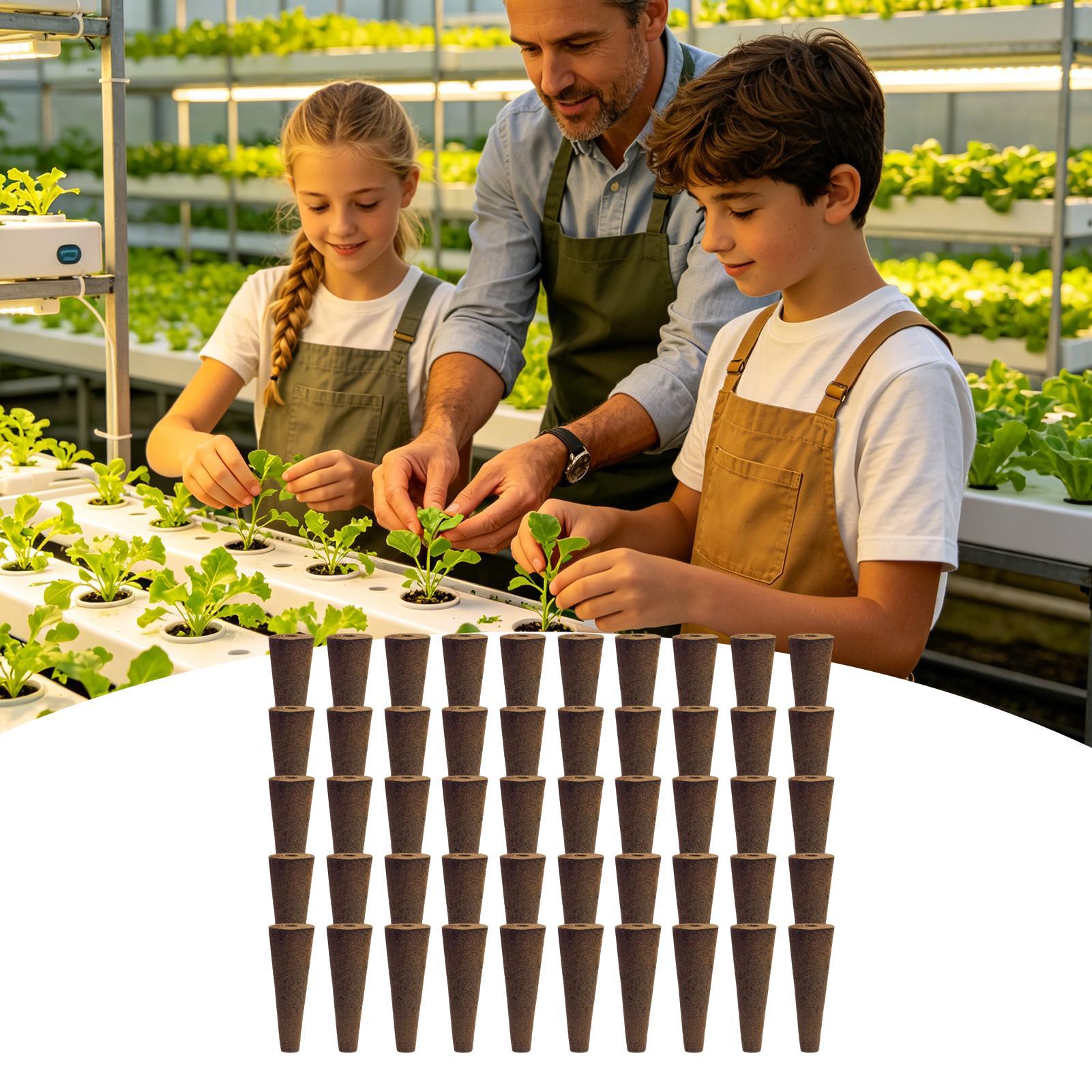 50 Piece Hydroponic Sponges Re – Aerogarden Seed Pod recenzja i cena