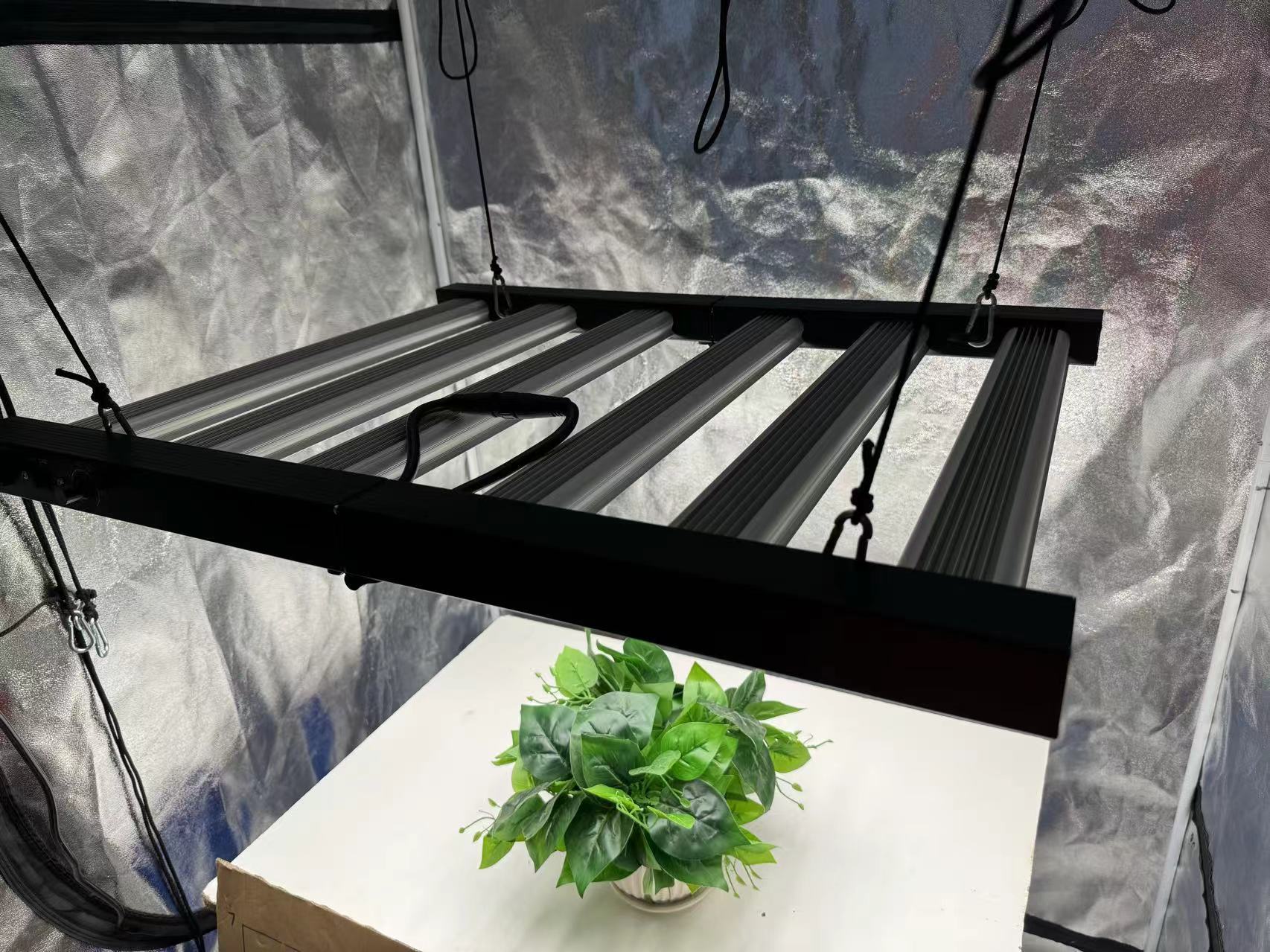 4x4 Grow Tent Complete Kit, In – Grow Tent Complete Kit recenzja i cena