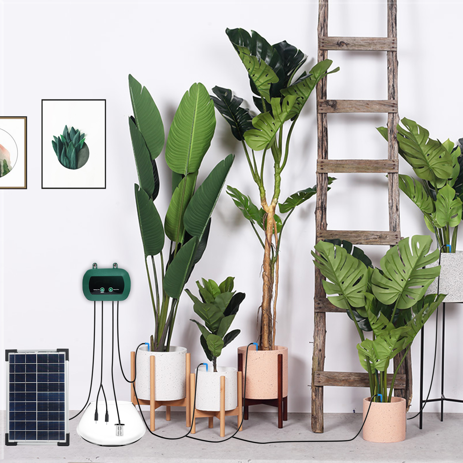 Solar Hydroponics Equipment  M – Smart Garden Is recenzja i cena