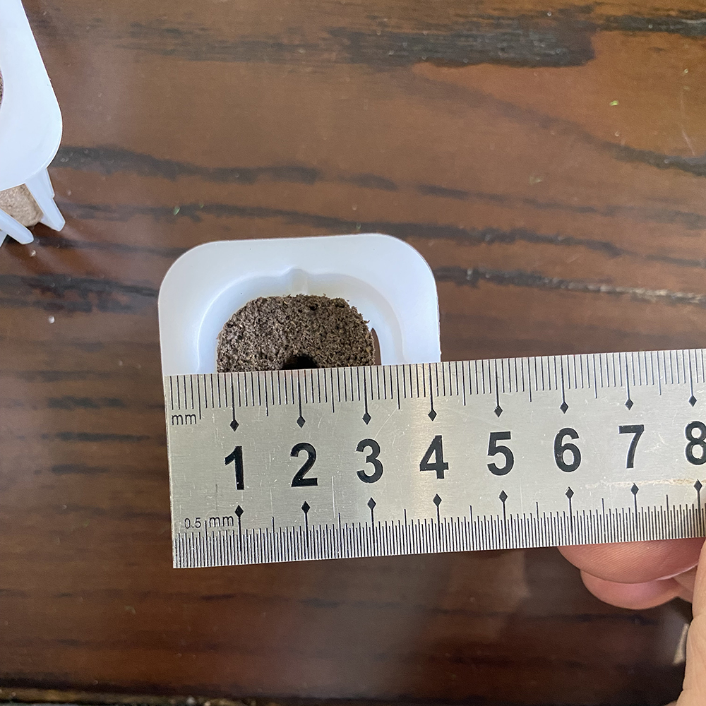 Hydroponics Basket and Sponge  – Aerogarden Seed Pod recenzja i cena