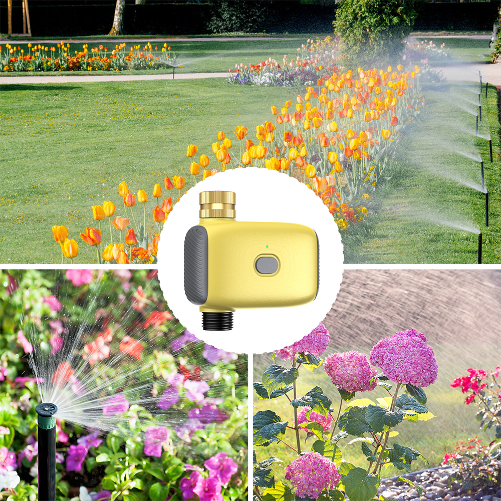 Wholesale Smart Digital  Water – Smart Garden Is recenzja i cena
